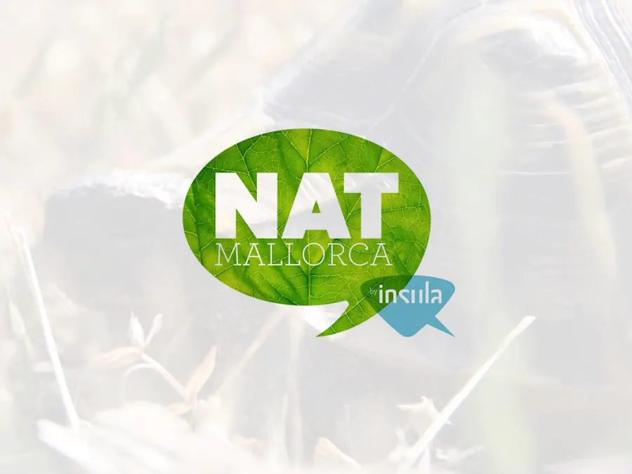 NATMallorca