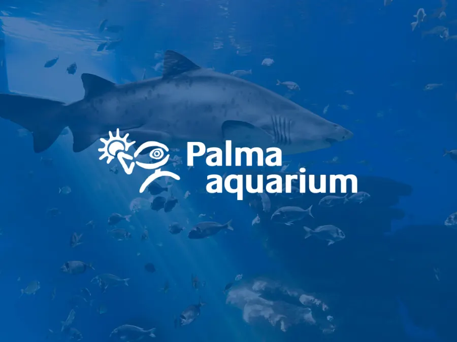 Palma Aquarium