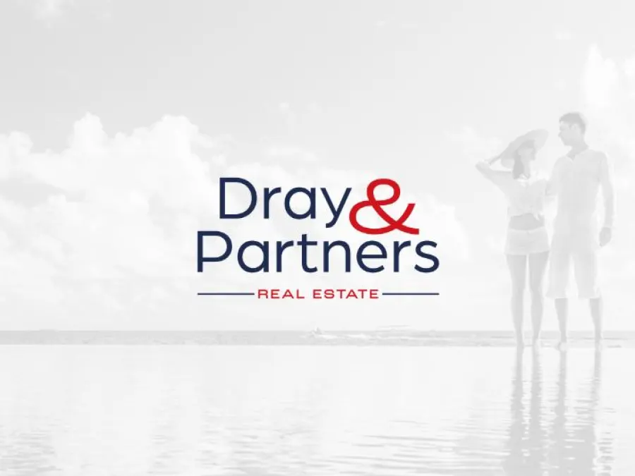 Dray & Partners